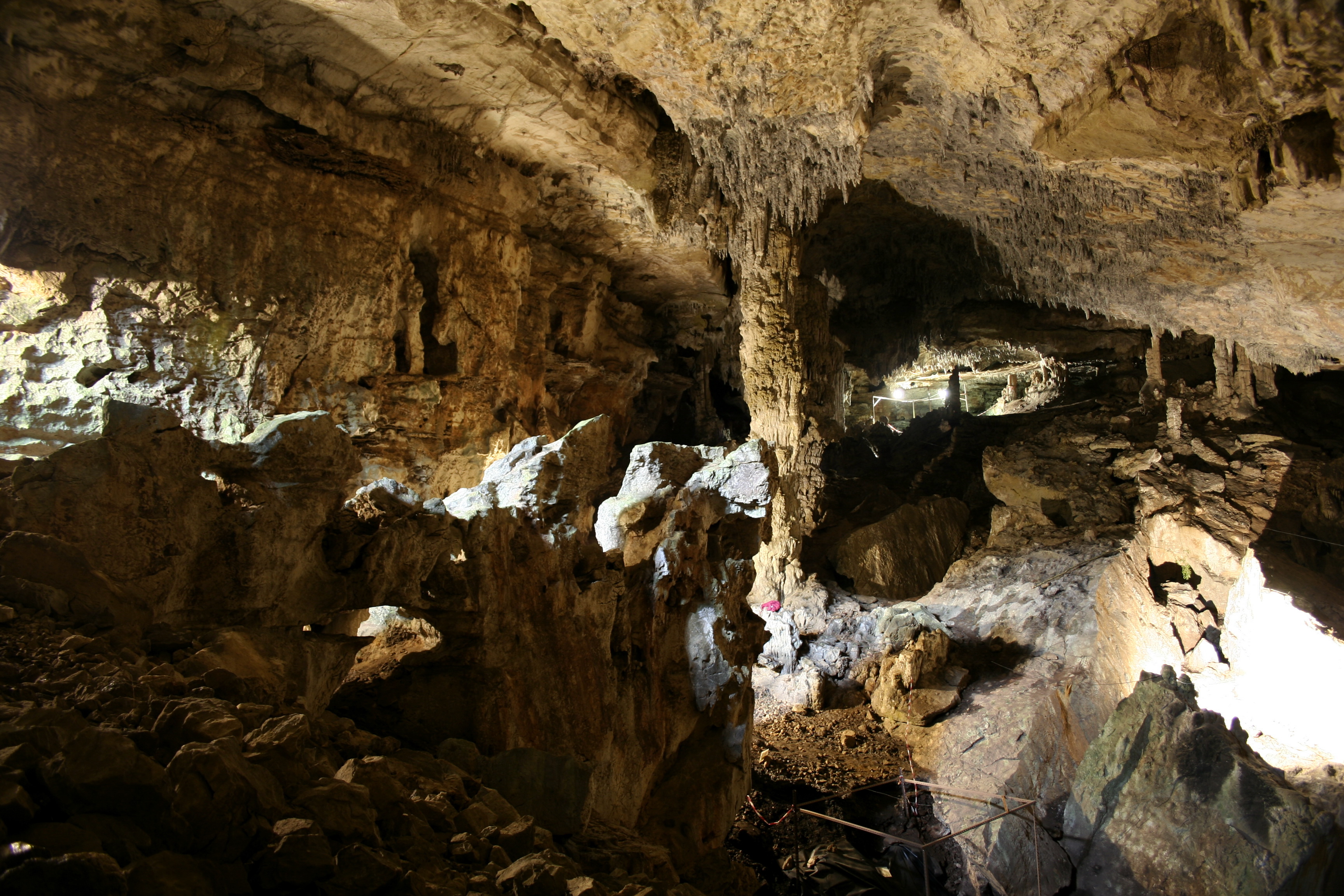 Proyectos de investigación y excavaciones en curso